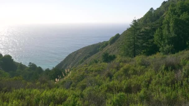 Majestueux littoral Big Sur Rochers de forêt verte à California Highway 1 route panoramique — Video