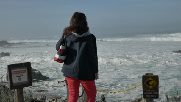 Big Sur State Park scenic landscape with giant waves — Stock Video