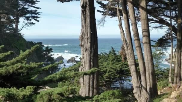 Big Sur State Park paesaggio panoramico con onde giganti — Video Stock