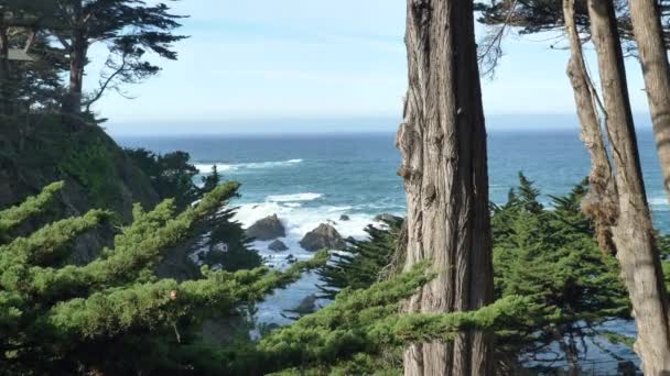 Big Sur State Park malerische Landschaft mit riesigen Wellen — Stockvideo