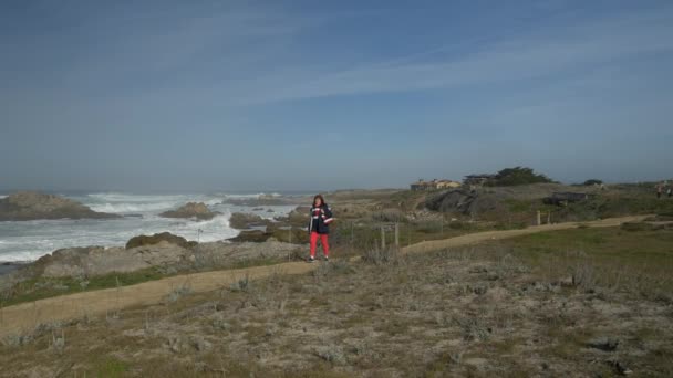 Big Sur State Park naturskönt landskap med jättevågor — Stockvideo