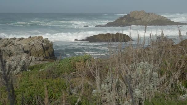 Μεγάλο Sur State Park γραφικό τοπίο με γιγαντιαία κύματα — Αρχείο Βίντεο