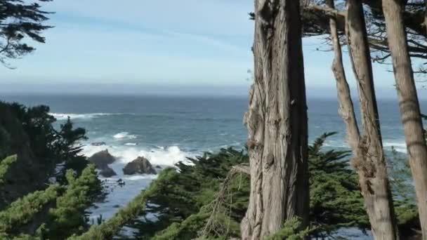 Cypřiš zkouší v Big Sur State Park malebnou krajinu s obřími vlnami — Stock video