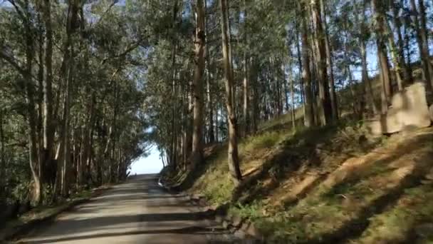 Сценічний ландшафт Big Sur California Pacific Ocean Coast Highway 1 — стокове відео