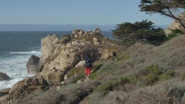 Naturskönt landskap Big Sur Kalifornien Stilla havet kust motorväg 1 — Stockvideo