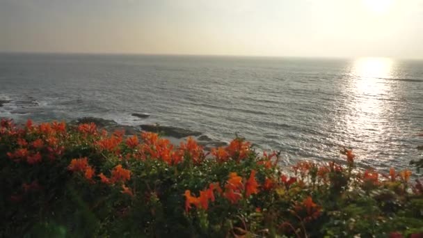 Berühmte Laguna Beach Kalifornien malerische Landschaften und Pflanzen — Stockvideo