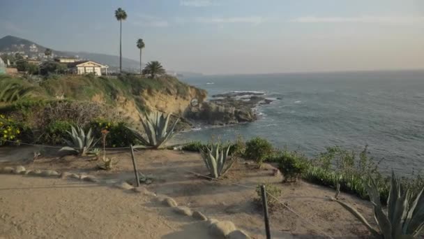 Híres Laguna Beach Kalifornia festői tájak és növények — Stock videók