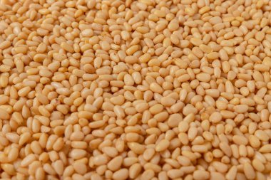 Soyulmuş çam fıstığı. Kabuksuz çekirdekler.