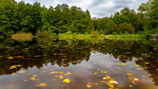 Tijd Verstrijkt Herfst Landschap Met Meer Kleurrijke Gebladerte Park Herfst — Stockvideo