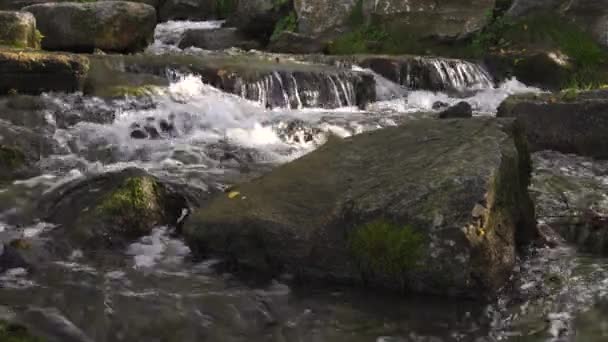 Horská Řeka Teče Mezi Velkými Kameny Pokrytými Mechem Vařící Voda — Stock video