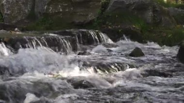 Dağ nehri yosun kaplı büyük kayaların arasında akar. Yosun taşı. Kaynar su.