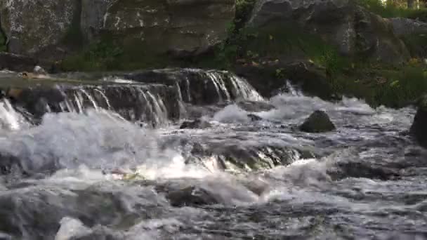 Dağ Nehri Yosun Kaplı Büyük Kayaların Arasında Akar Yosun Taşı — Stok video