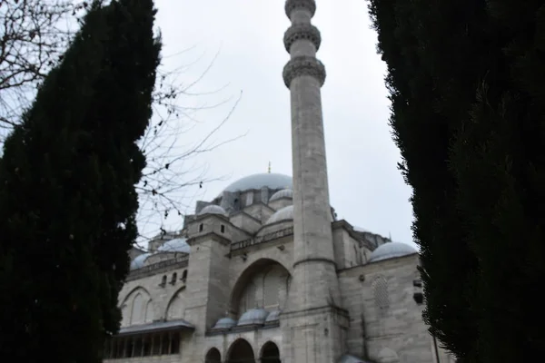 Mosquée Suleymaniye Sleymaniye Camii Istanbul Turquie Vue Est — Photo