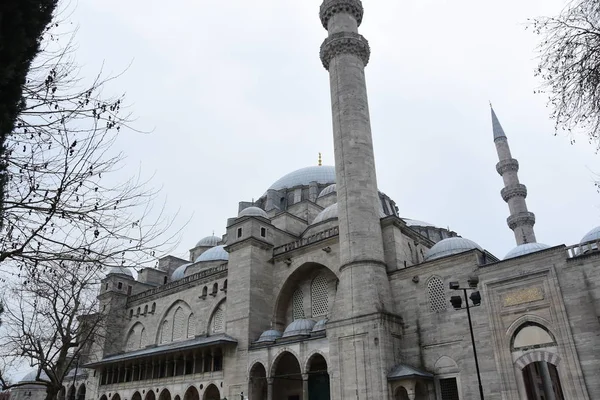 Moschea Suleymaniye Sleymaniye Camii Istanbul Turchia Vista Est — Foto Stock