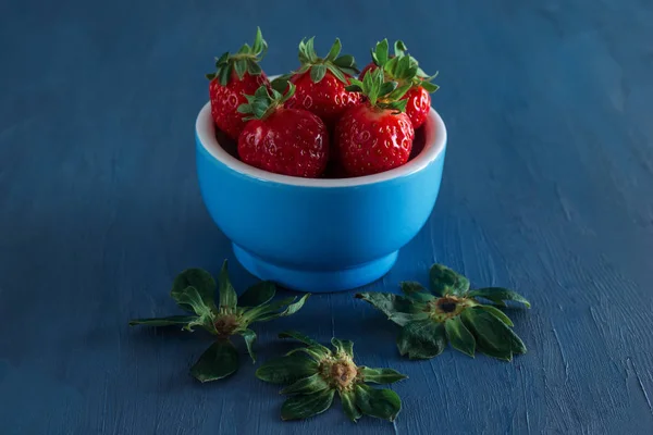 Mavi bir tabak içinde taze çilek