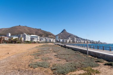 Signal Hill ve aslanlar kafa bakarak