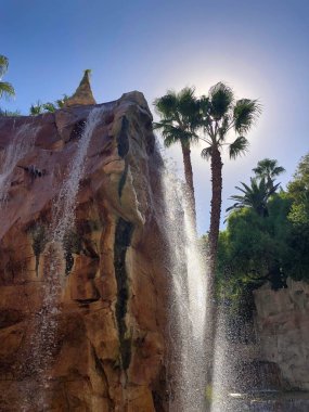 Palmiye ağaçları ve şelaleler