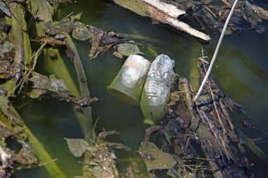 Bir gölet plastik çöp