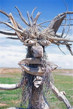 Ormandaki Çılgın Ağaç Adam