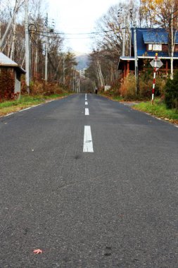 Japonya'da park Road