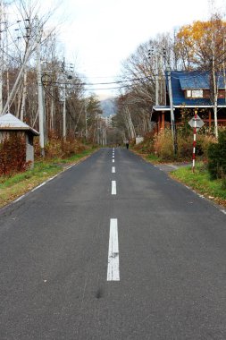 Japonya'da park Road