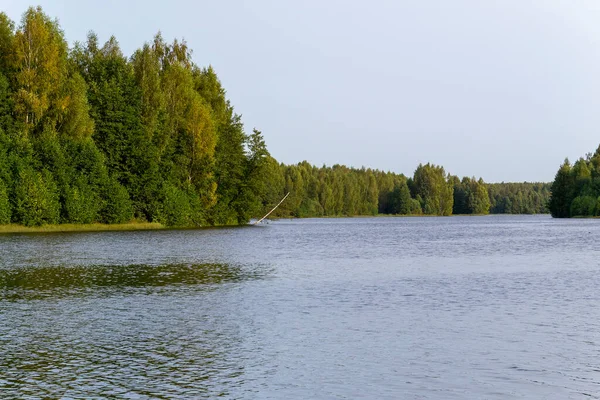 Wald Ufer Des Flusses — Stockfoto