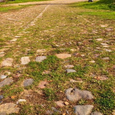 Tapınağa giden otlarla kaplı eski bir kaldırım taşı yolu.