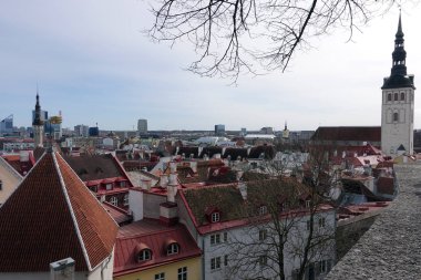 Belediye Binası ve Toompea hill ile eski şehir panoraması, Tallinn, Estonya