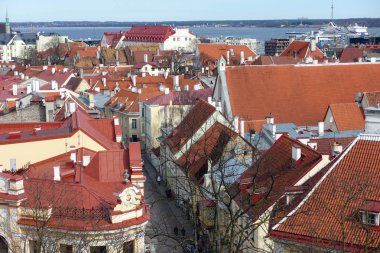 Belediye Binası ve Toompea hill ile eski şehir panoraması, Tallinn, Estonya