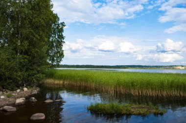 Yansıması ile göl üzerinde sazlık gölün kayalık kıyı.