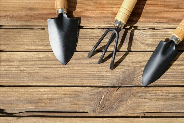 Garden tools on a wooden background with contrasting luscious sh — Stock Photo, Image