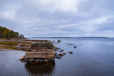 Gerçek bir kuzey manzarası. Kayalık kıyı, parlak sonbahar ormanı