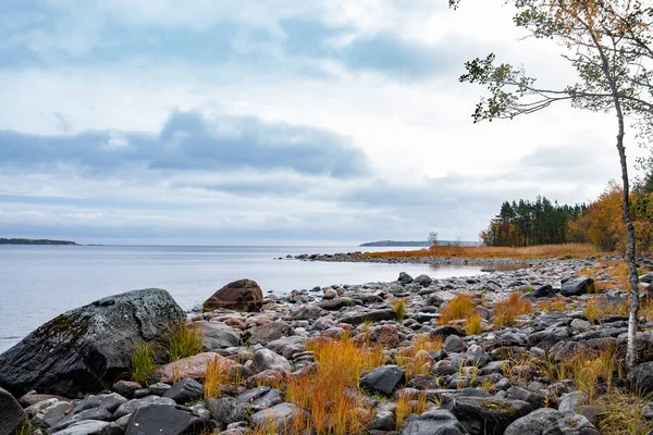 Реальная северная скандинавская природа. Холодное озеро осенью с камнем — стоковое фото