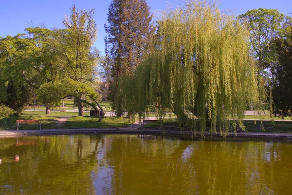 Parque en el jardín botánico en la ciudad de Olomouc, República Checa — Foto de Stock