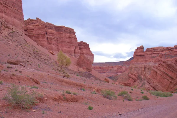 Meilleure destination au Kazakhstan : Charyn Canon, région d'Almaty — Photo