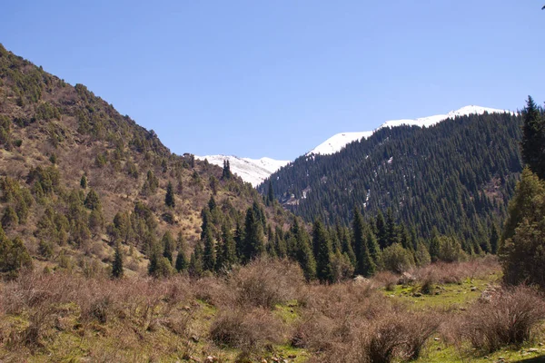 Górskie krajobrazy Kirgistanu. Wiosna w górach. — Zdjęcie stockowe