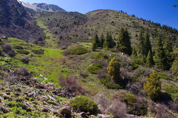 Kırgızistan'ın dağ manzaraları. Dağlarda bahar. — Stok fotoğraf