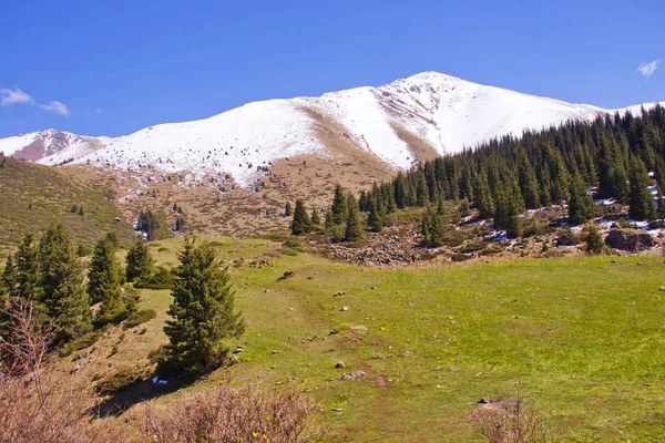 Kırgızistan'ın dağ manzaraları. Dağlarda bahar.