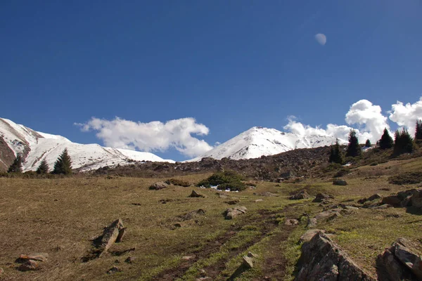 Paisagens montanhosas do Quirguistão. Primavera nas montanhas . — Fotografia de Stock