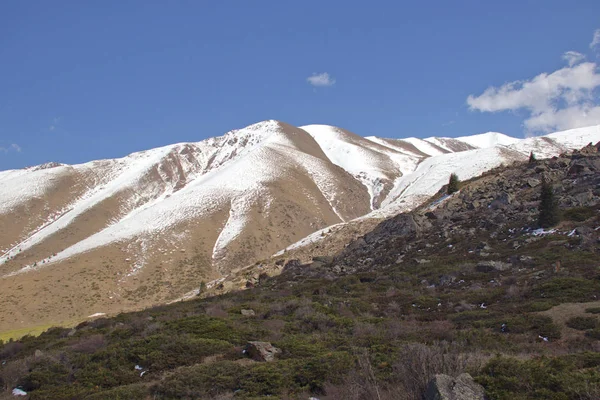 Berglandschappen van Kirgizië. Lente in de bergen. — Stockfoto