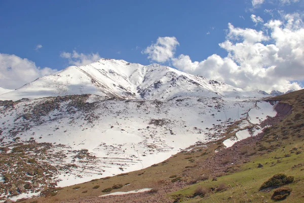 Kırgızistan'ın dağ manzaraları. Dağlarda bahar.