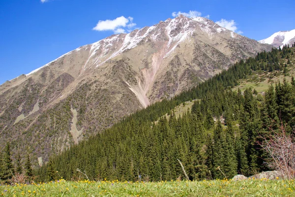 Paisagens montanhosas do Quirguistão. Primavera nas montanhas . — Fotografia de Stock