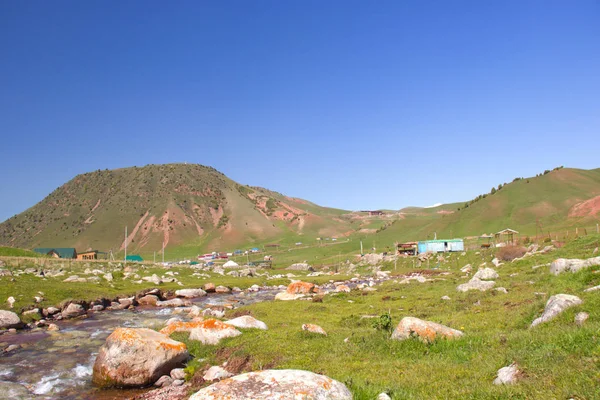 Kırgızistan'ın dağ manzaraları. Dağlarda bahar.