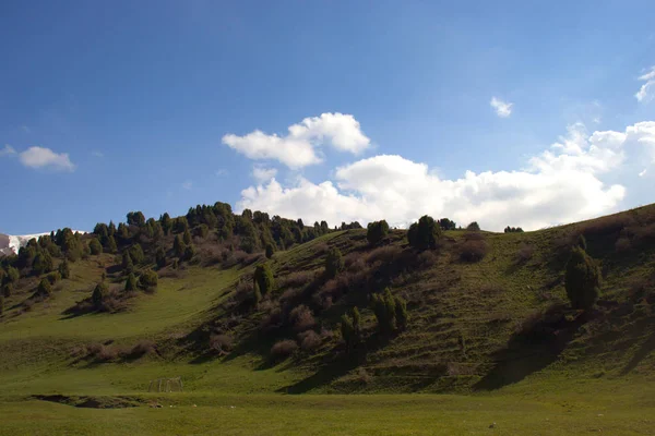 Kırgızistan'ın dağ manzaraları. Dağlarda bahar.