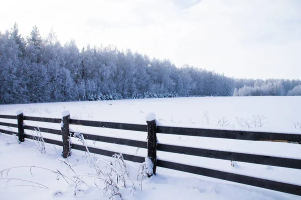 Hermosas Vallas Invierno Rusia —  Fotos de Stock