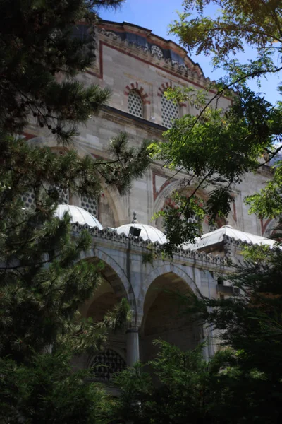 Yeşil Ağaçlarıyla Çevrili Camii — Stok fotoğraf