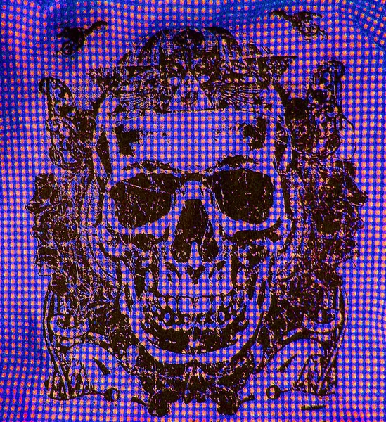 Pirate head macro background fine art