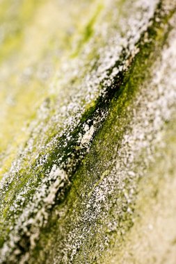 Eski duvarlar makro soyut arka plan yüksek kalitede çizgiler