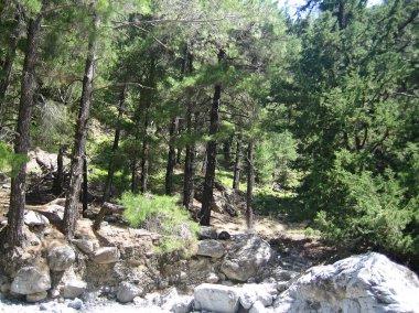 Kreta adası arka plan duvar kağıdı güzel sanatlar Samaria george