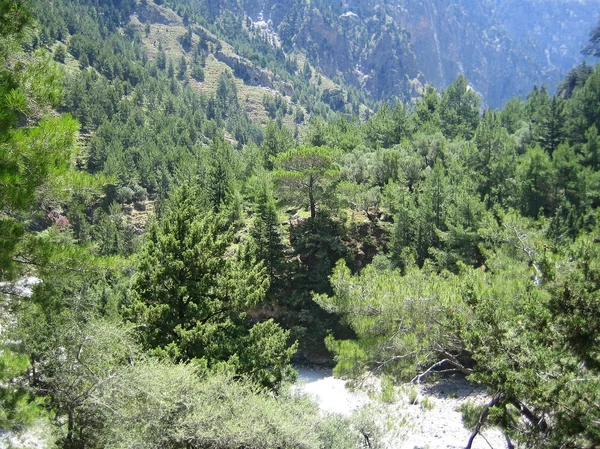 撒玛利亚乔治在克雷塔岛背景壁纸美术 — 图库照片